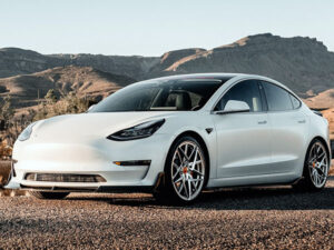 wellington ev repairs, electric car service, ev maintenance